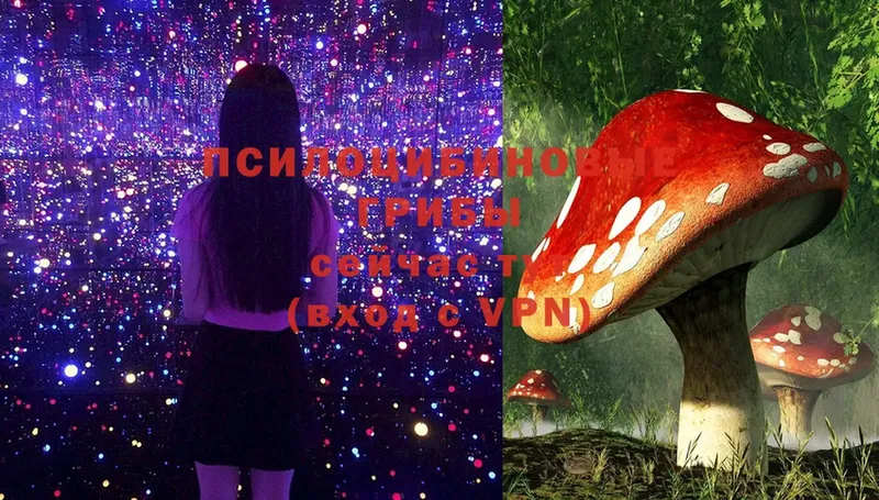 Псилоцибиновые грибы Magic Shrooms  Унеча 